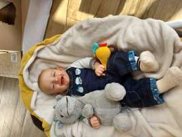 louis